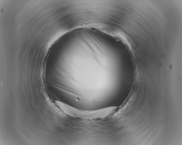 X0000088570952200706081054