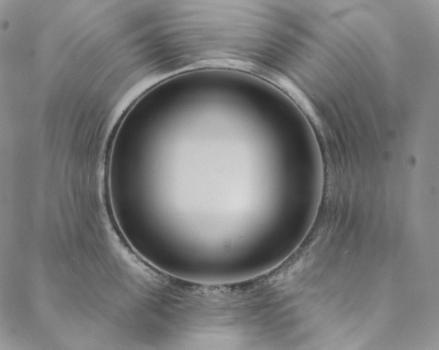 X0000088570955200706081055