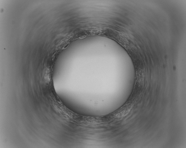 X0000088570962200706081054