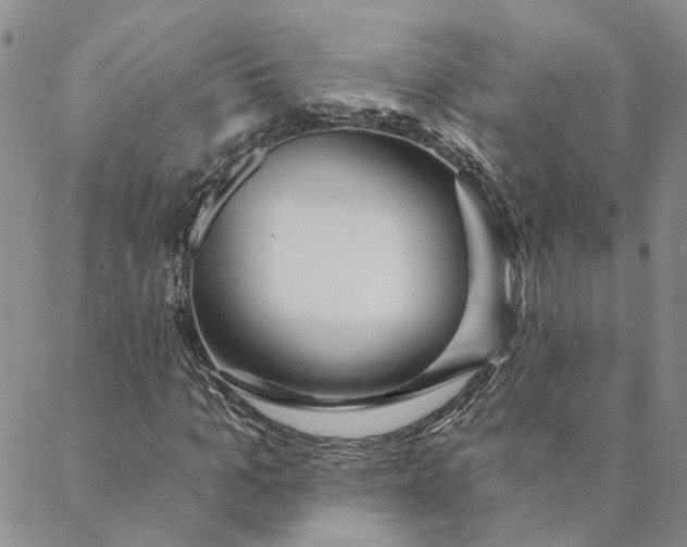 X0000088570965200706081054