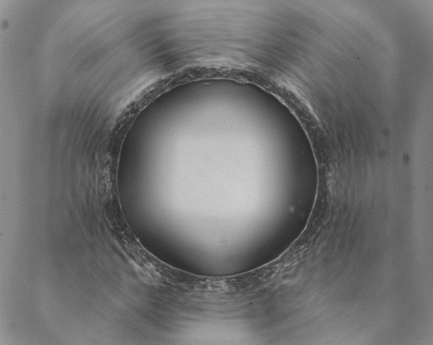 X0000088570968200706081054