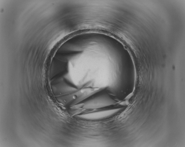 X0000088570975200706081054