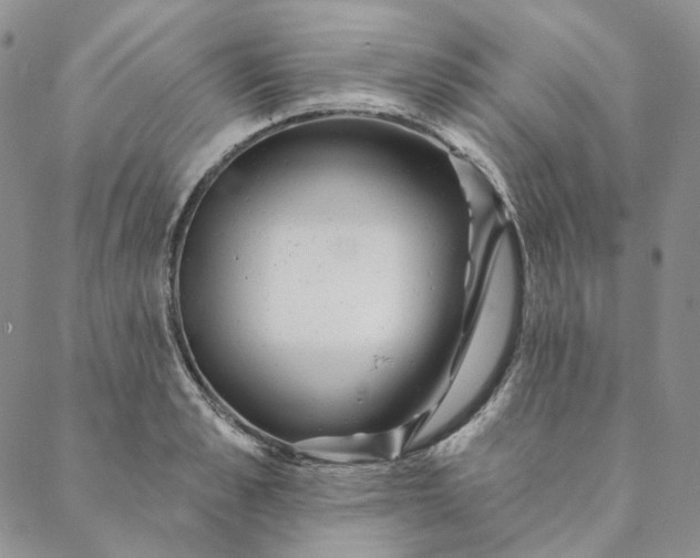 X0000088570989200706081053