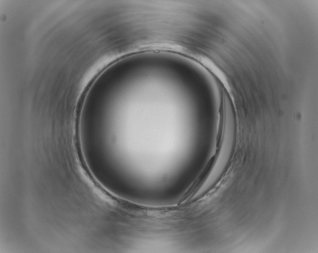 X0000088571005200706081053