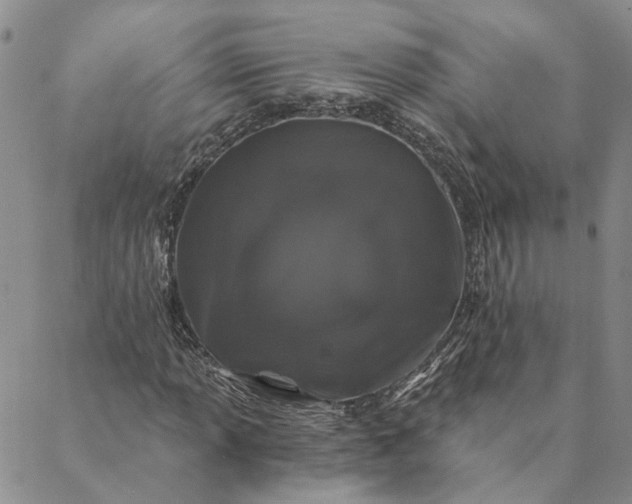 X0000088571013200706081052