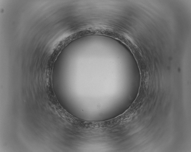 X0000088571016200706081052