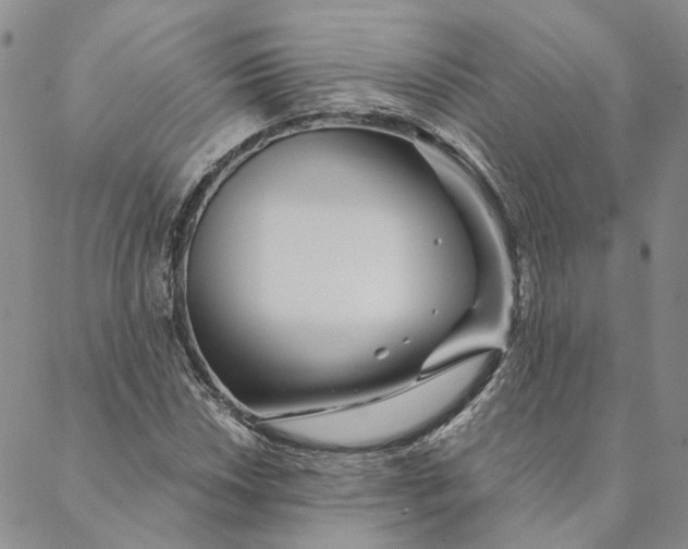 X0000088571018200706081052