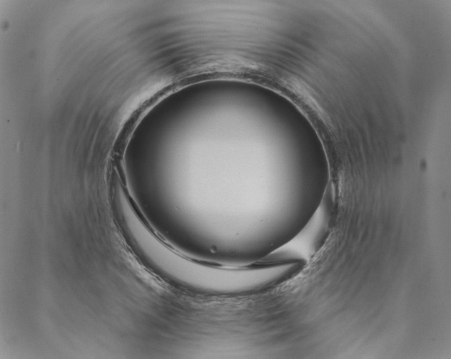 X0000088571026200706081053