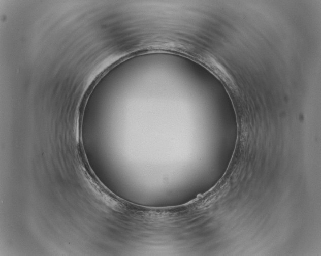 X0000088571036200706081053