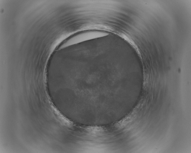 X0000088571037200706081053