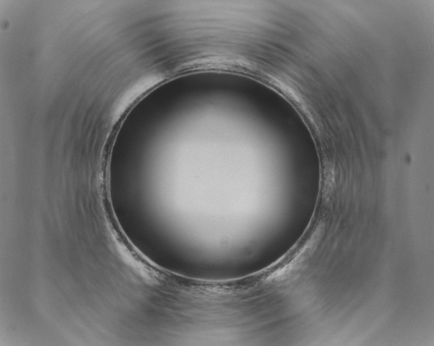 X0000088571042200706081053
