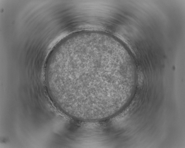 X0000088571074200706081052