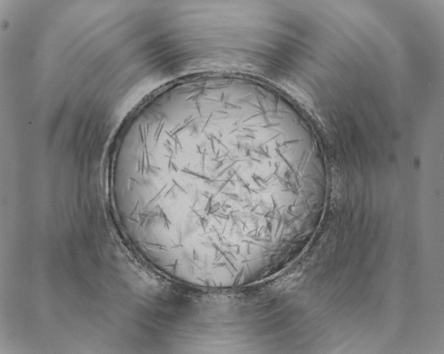 X0000088571078200706081052