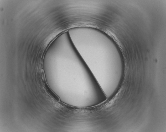 X0000088571081200706081052