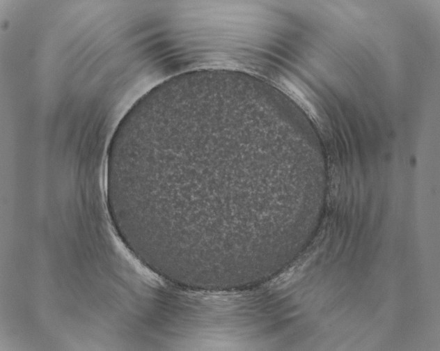 X0000088571084200706081052