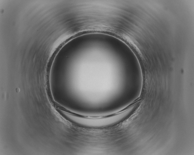 X0000088571085200706081052