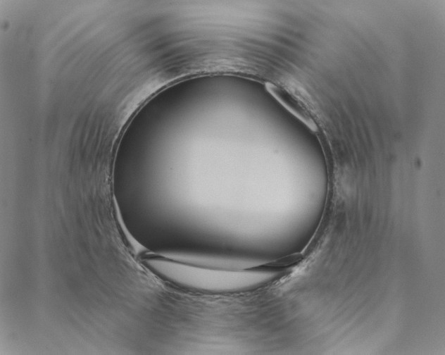 X0000088571089200706081052