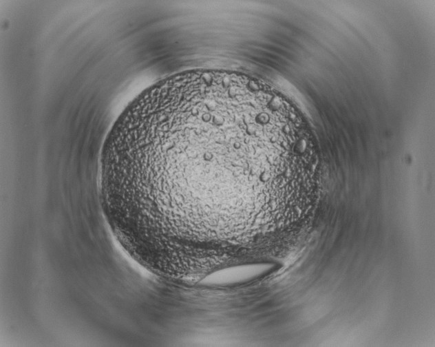 X0000088571095200706081052