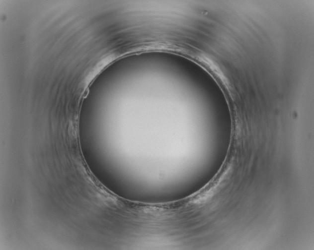 X0000088571097200706081052