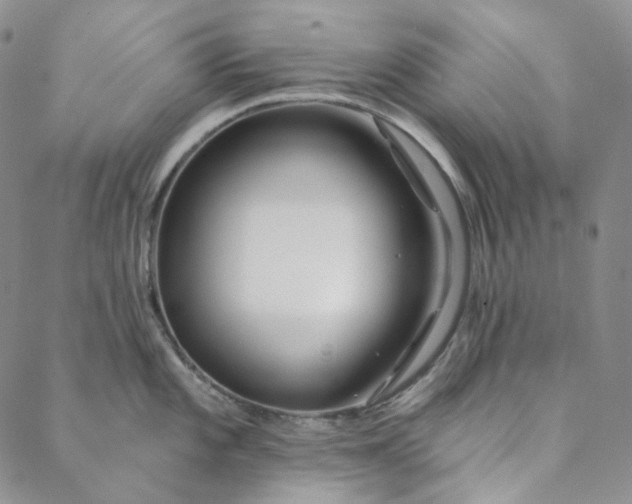 X0000088571101200706081052