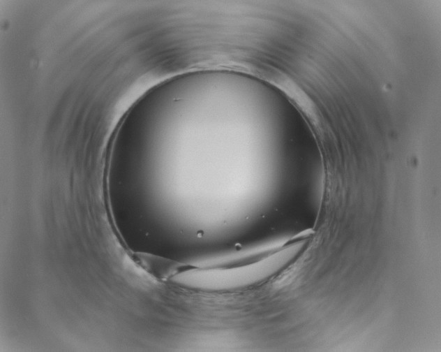 X0000088571102200706081052