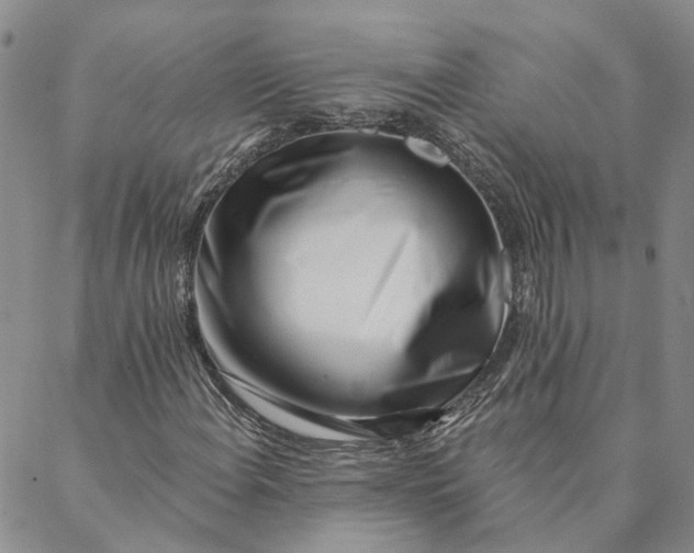 X0000088571108200706081051
