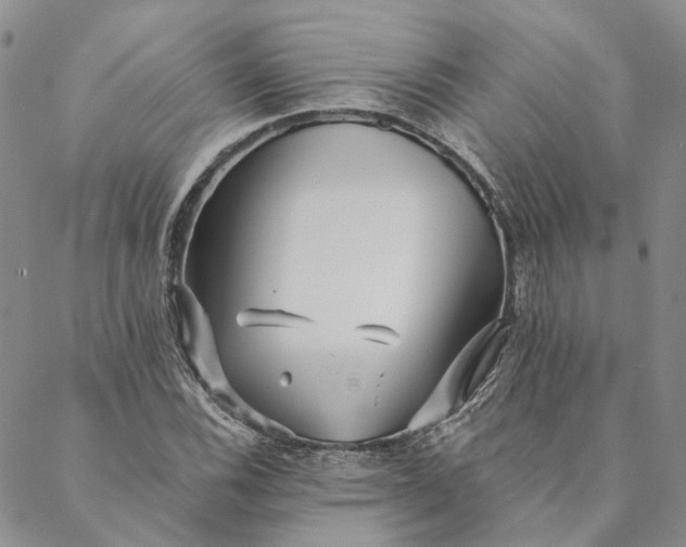 X0000088571116200706081051