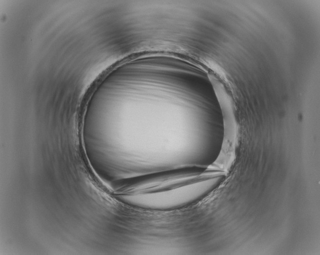 X0000088571120200706081051