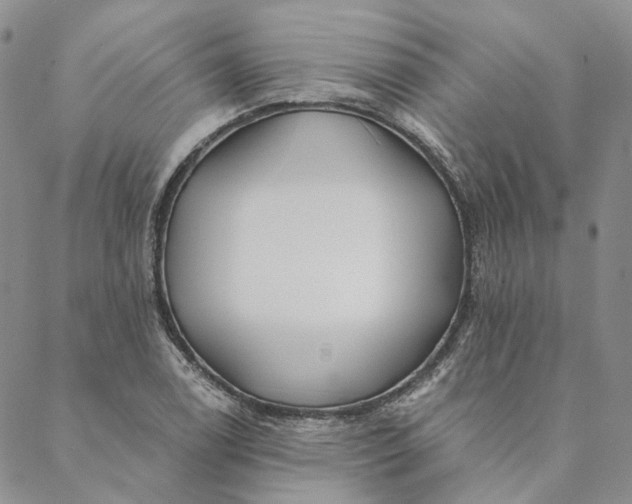 X0000088571122200706081051