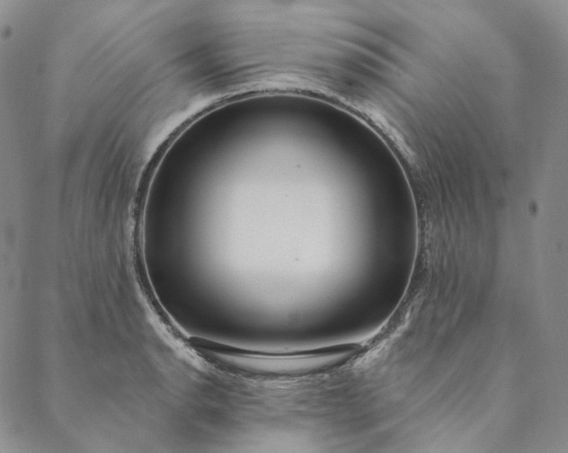 X0000088571134200706081051