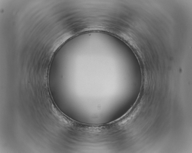 X0000088571137200706081051