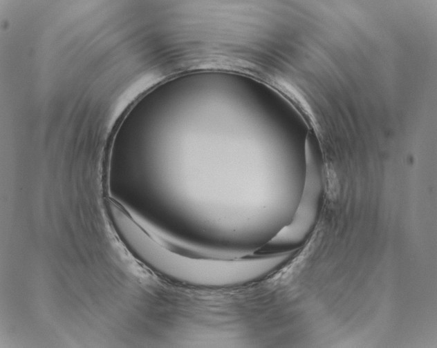 X0000088571138200706081051