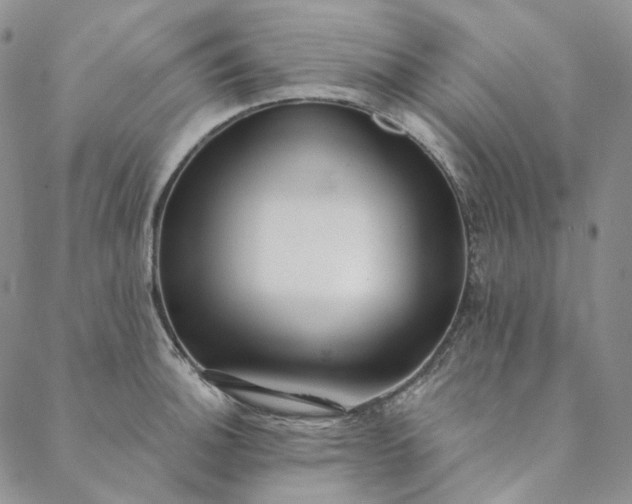 X0000088571140200706081051