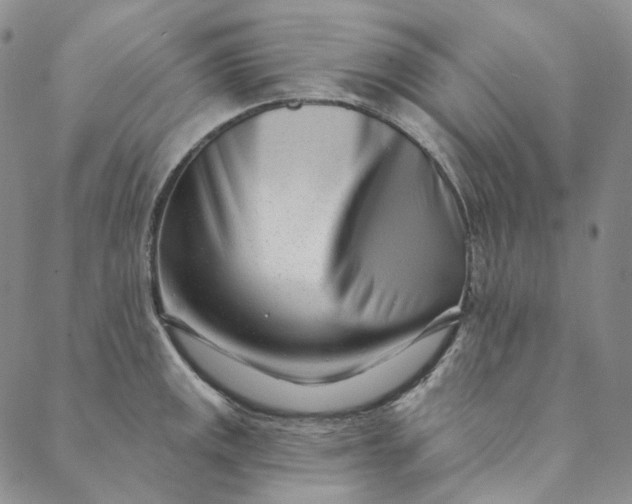 X0000088571141200706081051