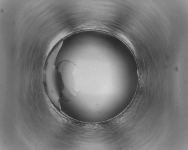 X0000088571146200706081051