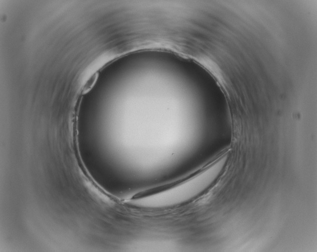 X0000088571151200706081052