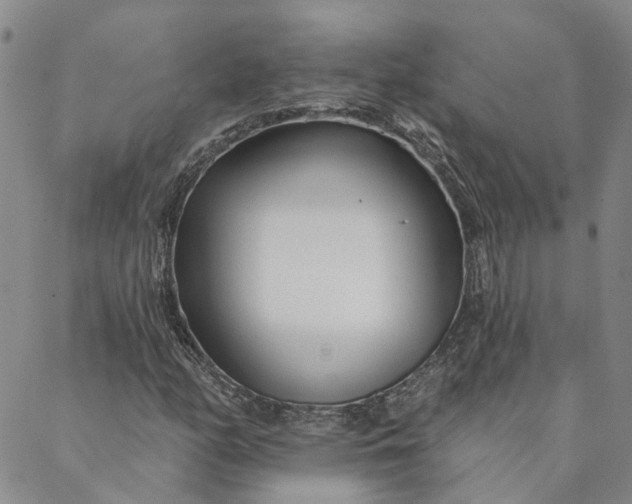 X0000088571158200706081051