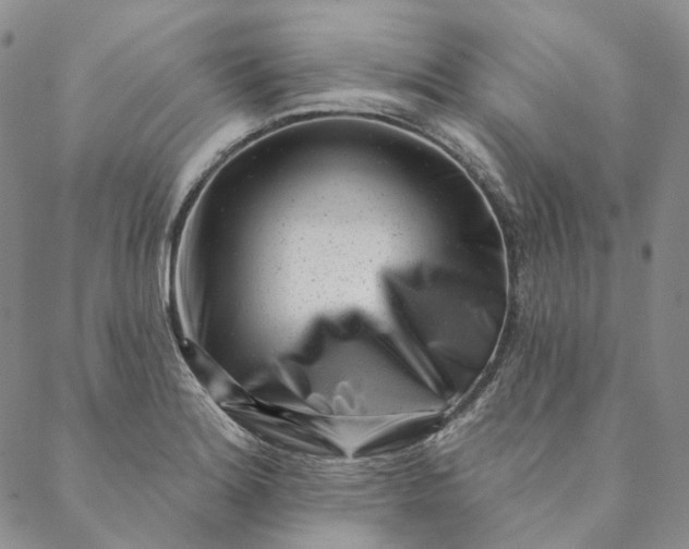 X0000088571180200706081050