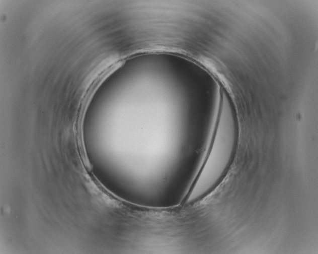X0000088571189200706081050
