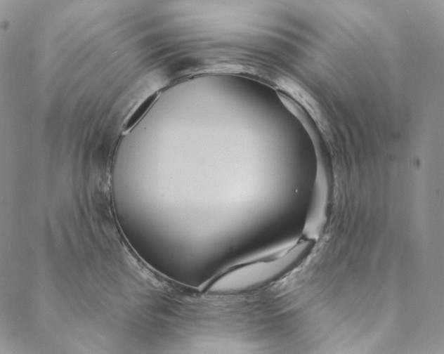 X0000088571193200706081050