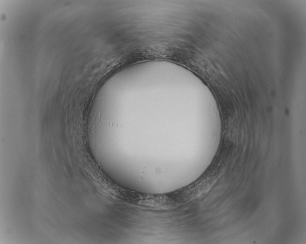 X0000088571201200706081049