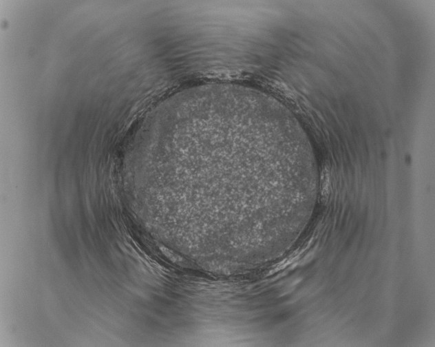 X0000088571202200706081049