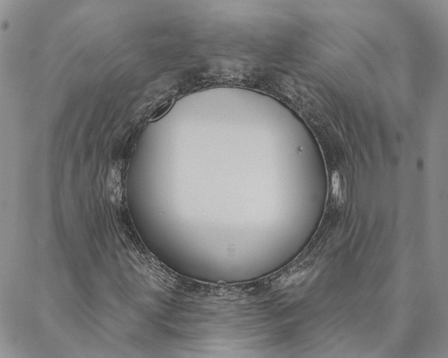 X0000088571203200706081049