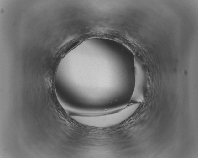 X0000088571206200706081049