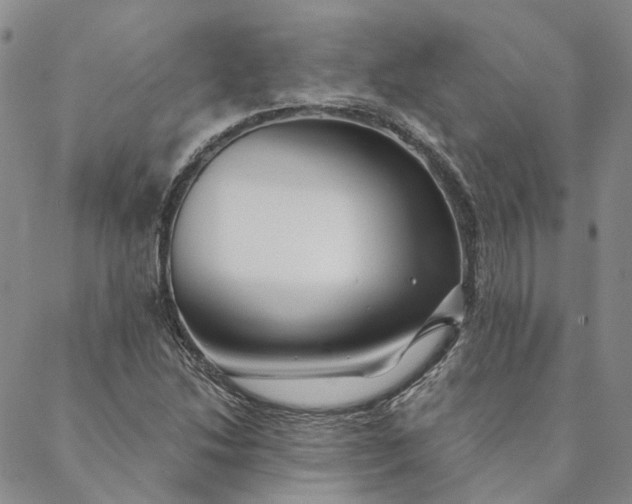 X0000088571214200706081049