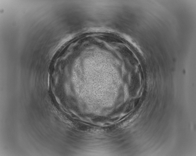 X0000088571221200706081050
