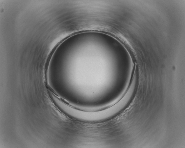 X0000088571230200706081050