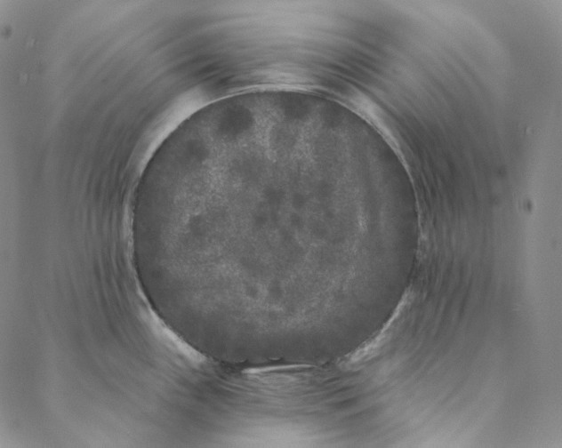X0000088571243200706081050