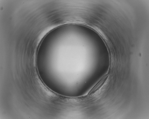 X0000088571246200706081050