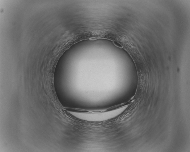 X0000088571249200706081049